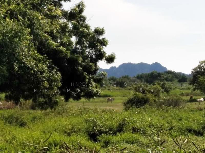 ที่ดินเกาะหลัก ประจวบคีรีขันธ์, Prachuap Khiri Khan, Ko Lak, Muang Prachaubkirikhan, Prachuap Khiri Khan, , 202 sqm, Land For Sale, by The Best Property เจี๊ยบ, 500520795 - DDproperty.com