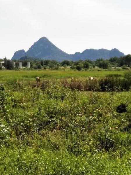 ที่ดินเกาะหลัก ประจวบคีรีขันธ์, Prachuap Khiri Khan, Ko Lak, Muang Prachaubkirikhan, Prachuap Khiri Khan, , 202 sqm, Land For Sale, by The Best Property เจี๊ยบ, 500520795 - DDproperty.com
