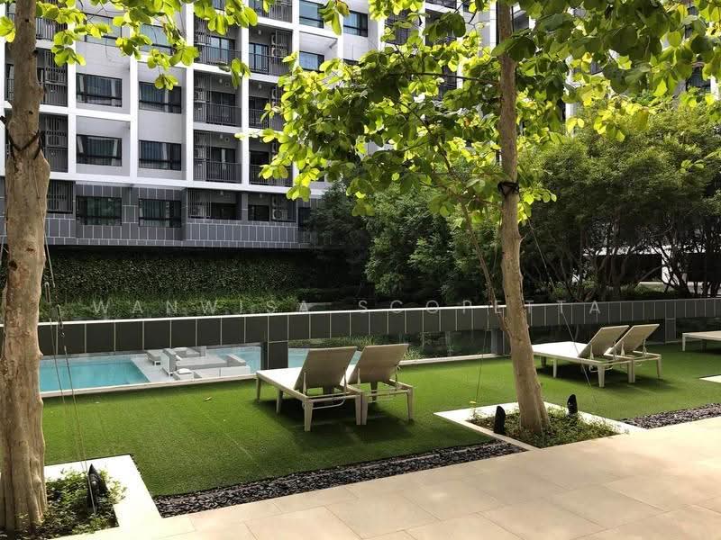 Dusit D2 Residences Hua Hin, Prachuap Khiri Khan, Petchkasem Road, Nong Kae, Hua Hin, Prachuap Khiri Khan, 1 Bedroom, 30 sqm, Condo For Rent, by Wanwisa Scopetta, 500520811 - DDproperty.com