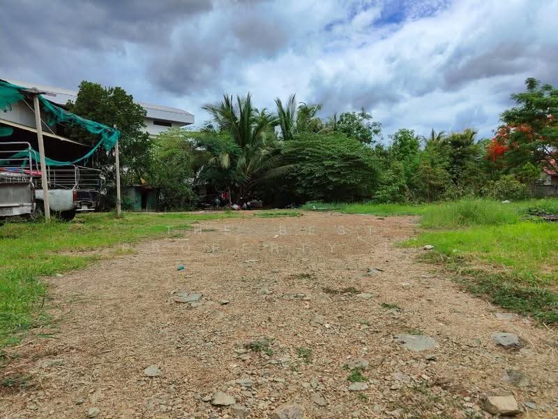 ที่ดินแหลมใหญ่ สมุทรสงคราม, Samut Songkhram, Laem Yai, Muang Samut Songkhram, Samut Songkhram, , 2,043 sqm, Land For Sale, by The Best Property โจ้, 500520815 - DDproperty.com