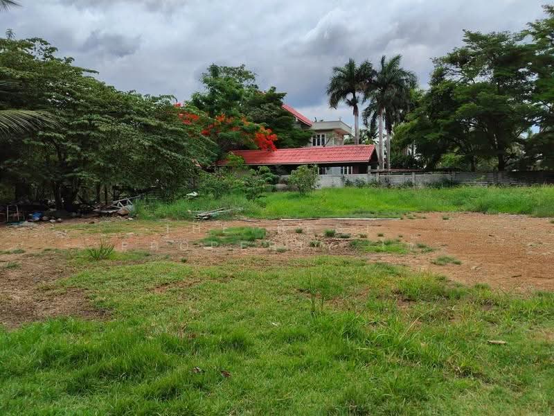 ที่ดินแหลมใหญ่ สมุทรสงคราม, Samut Songkhram, Laem Yai, Muang Samut Songkhram, Samut Songkhram, , 2,043 sqm, Land For Sale, by The Best Property โจ้, 500520815 - DDproperty.com