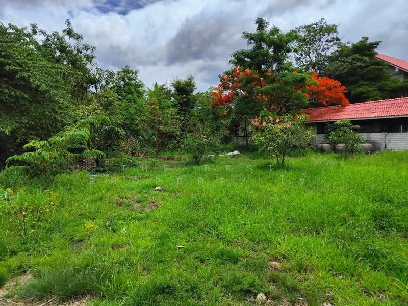 ที่ดินแหลมใหญ่ สมุทรสงคราม, Samut Songkhram, Laem Yai, Muang Samut Songkhram, Samut Songkhram, , 2,043 sqm, Land For Sale, by The Best Property โจ้, 500520815 - DDproperty.com
