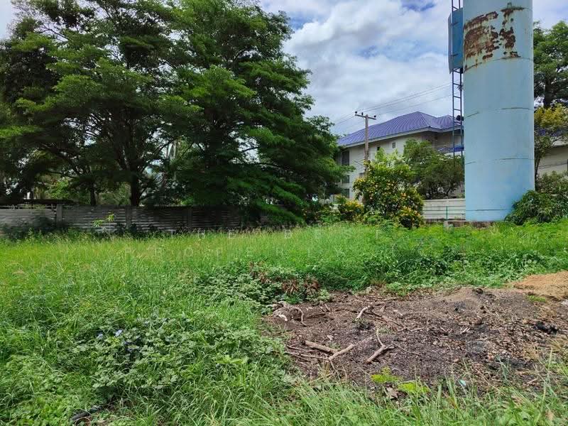 ที่ดินแหลมใหญ่ สมุทรสงคราม, Samut Songkhram, Laem Yai, Muang Samut Songkhram, Samut Songkhram, , 2,043 sqm, Land For Sale, by The Best Property โจ้, 500520815 - DDproperty.com