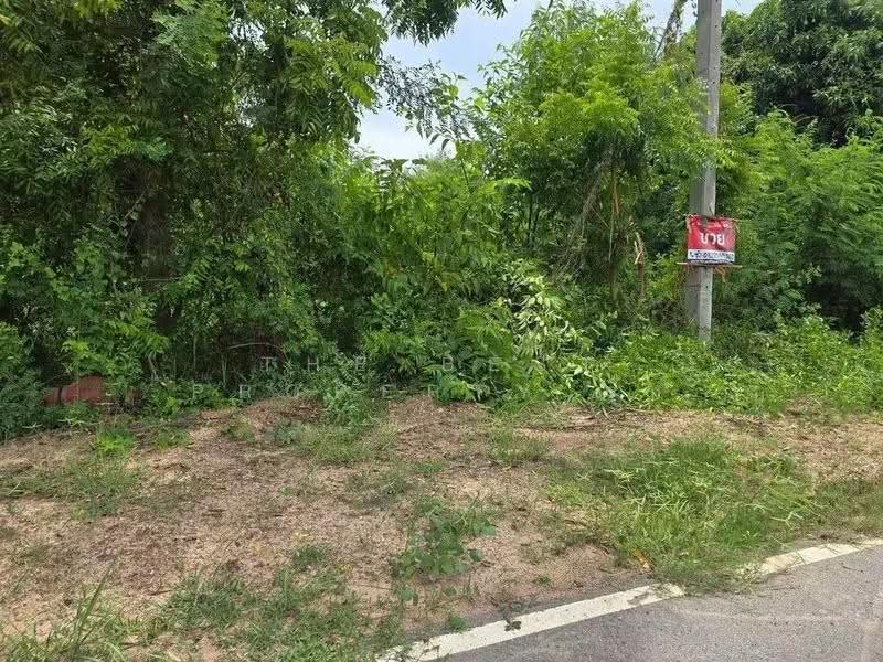 ที่ดินแปลงยาว ฉะเชิงเทรา, Chachoengsao, Hua Samrong, Plaeng Yao, Chachoengsao, , 1,364 sqm, Land For Sale, by The Best Property รุ้ง, 500520848 - DDproperty.com