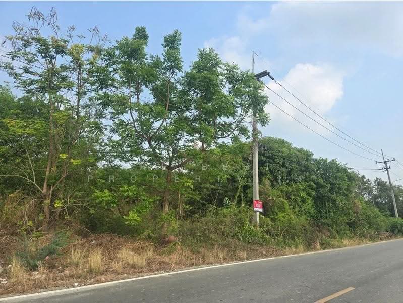 ที่ดินแปลงยาว ฉะเชิงเทรา, ฉะเชิงเทรา, หัวสำโรง, แปลงยาว, ฉะเชิงเทรา, 1,364 ตร.ม., ที่ดิน ขาย, โดย The Best Property รุ้ง, 500520848 - DDproperty.com