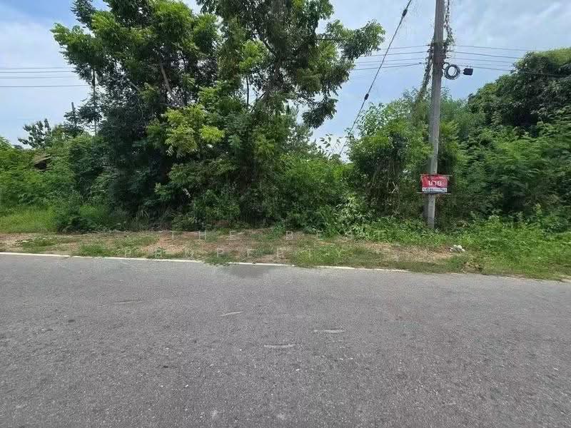 ที่ดินแปลงยาว ฉะเชิงเทรา, Chachoengsao, Hua Samrong, Plaeng Yao, Chachoengsao, , 1,364 sqm, Land For Sale, by The Best Property รุ้ง, 500520848 - DDproperty.com