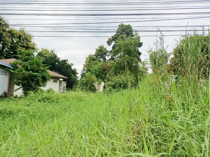 ที่ดินป่ามะคาบ พิจิตร, พิจิตร, ป่ามะคาบ, เมืองพิจิตร, พิจิตร, 1,740 ตร.ม., ที่ดิน ขาย, โดย The Best Property อ้อ, 500520870 - DDproperty.com