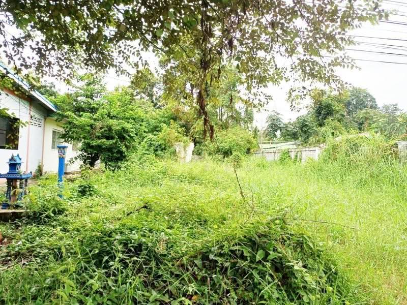 ที่ดินป่ามะคาบ พิจิตร, พิจิตร, ป่ามะคาบ, เมืองพิจิตร, พิจิตร, 1,740 ตร.ม., ที่ดิน ขาย, โดย The Best Property อ้อ, 500520870 - DDproperty.com
