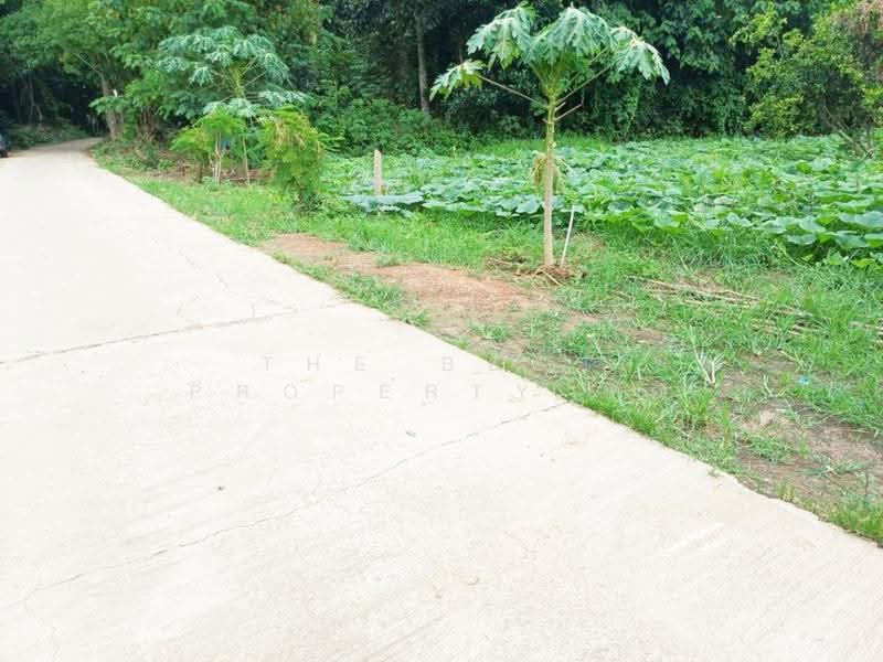 ที่ดินย่านยาว พิจิตร, พิจิตร, ย่านยาว, เมืองพิจิตร, พิจิตร, 1,200 ตร.ม., ที่ดิน ขาย, โดย The Best Property อ้อ, 500520890 - DDproperty.com