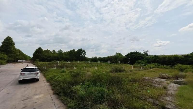 ดินแปลงใหญ่ บางปลา 65 เทพารักษ์ กม.20 ซ.บางปลา65 ต.บางปลา อ.บางพลี จ.สมุทรปราการ 10540, สมุทรปราการ, เทพารักษ์, บางปลา, บางพลี, สมุทรปราการ, 3,564 ตร.ม., ที่ดิน ขาย, โดย คุณประสงค์ เหมือนบิดา (โบ้), 500520940 - DDproperty.com