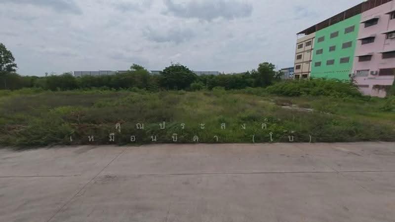 ดินแปลงใหญ่ บางปลา 65 เทพารักษ์ กม.20 ซ.บางปลา65 ต.บางปลา อ.บางพลี จ.สมุทรปราการ 10540, สมุทรปราการ, เทพารักษ์, บางปลา, บางพลี, สมุทรปราการ, 3,564 ตร.ม., ที่ดิน ขาย, โดย คุณประสงค์ เหมือนบิดา (โบ้), 500520940 - DDproperty.com