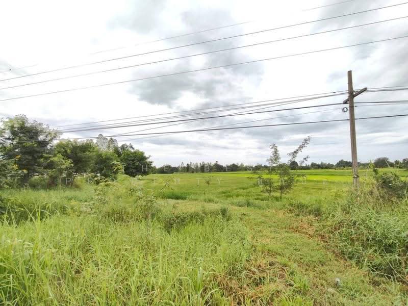 ที่ดินโกรกพระ นครสวรรค์, Nakhon Sawan, Noen Sala, Krok Phra, Nakhon Sawan, , 7,229 sqm, Land For Sale, by The Best Property ลูกปัด, 500520941 - DDproperty.com