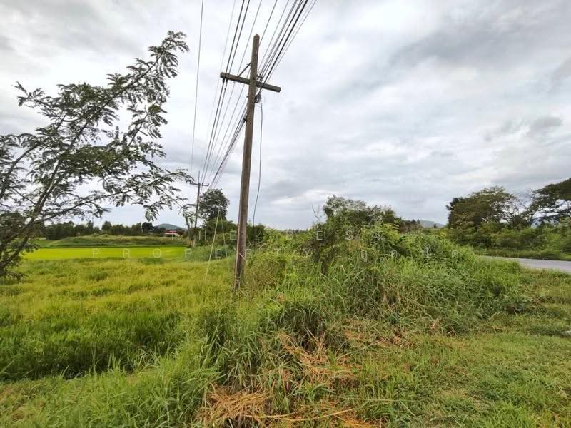 ที่ดินโกรกพระ นครสวรรค์, นครสวรรค์, เนินศาลา, โกรกพระ, นครสวรรค์, 7,229 ตร.ม., ที่ดิน ขาย, โดย The Best Property ลูกปัด, 500520941 - DDproperty.com