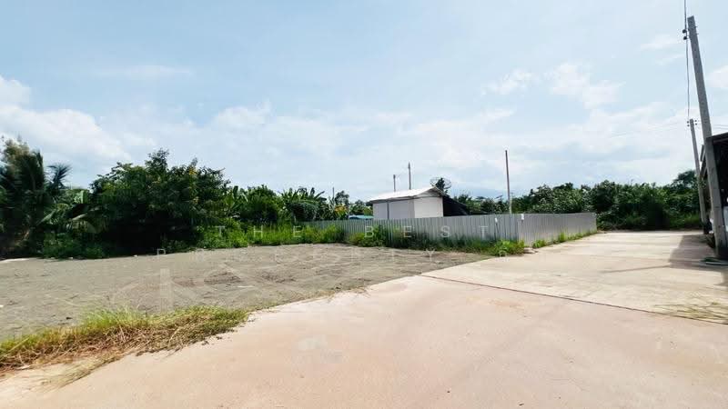 ที่ดินนางตะเคียน สมุทรสงคราม, Samut Songkhram, Nang Ta Khian, Muang Samut Songkhram, Samut Songkhram, , 240 sqm, Land For Sale, by The Best Property กิ๊ก, 500521037 - DDproperty.com
