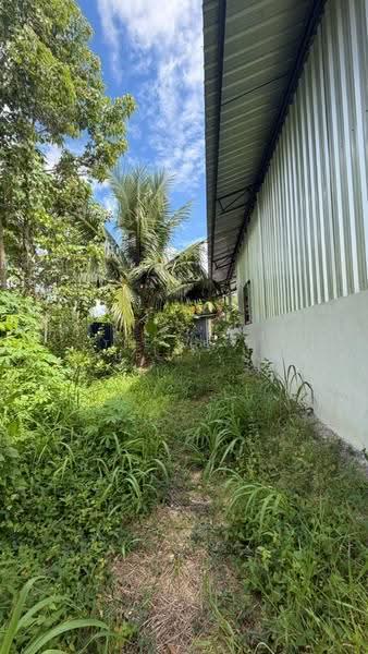 ที่ดินพร้อมสิ่งปลูกสร้างพนัสนิคม ชลบุรี, Chon Buri (Pattaya), Nong Hiang, Phanat Nikhom, Chon Buri (Pattaya), , 1,600 sqm, Land For Sale, by The Best Property เก๋, 500521121 - DDproperty.com