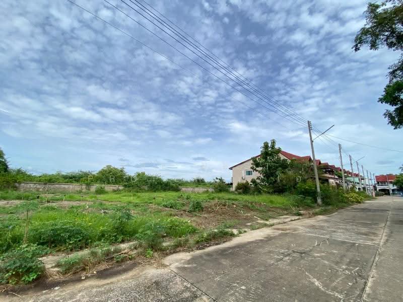 ที่ดินหาดเจ้าสำราญ เพชรบุรี, เพชรบุรี, หาดเจ้าสำราญ, เมืองเพชรบุรี, เพชรบุรี, 312 ตร.ม., ที่ดิน ขาย, โดย The Best Property โอ๋, 500521219 - DDproperty.com