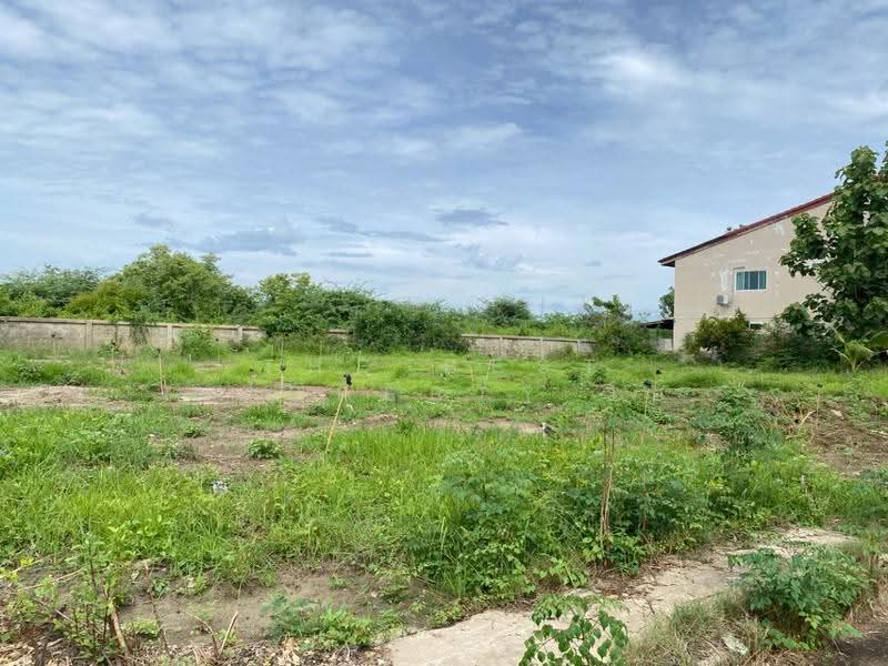 ที่ดินหาดเจ้าสำราญ เพชรบุรี, Phetchaburi, Hat Chao Samran, Muang Phetchaburi, Phetchaburi, , 312 sqm, Land For Sale, by The Best Property โอ๋, 500521219 - DDproperty.com