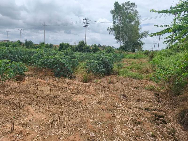ขาย ที่ดินเปล่า 19 ไร่ ต.โป่งแดง อ.ขามทะเลสอ จ.นครราชสีมา, Nakhon Ratchasima, Pong Daeng, Kham Thale So, Nakhon Ratchasima, , 30,400 sqm, Land For Sale, by ทัศนีย์ สุชีวกุล, 500521232 - DDproperty.com