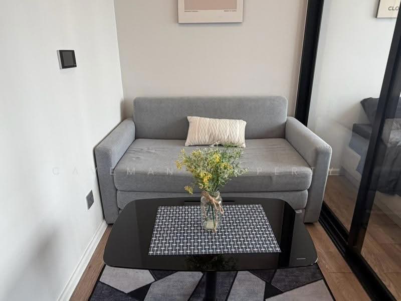 Modiz Sukhumvit 50, Bangkok, Soi Sukhumvit 50, Phra Kanong, Khlong Toei, Bangkok, 1 Bedroom, 24 sqm, Condo For Rent, by Caveman Property, 500521281 - DDproperty.com