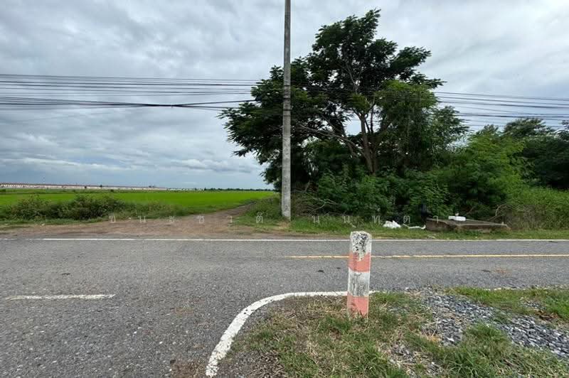 ที่ดินเปล่า เนื้อที่ 16-1-91 ไร่ ใกล้สนง.เทศบาลตำบลลำลูกกา, Pathum Thani, Bung Kham Proi, Lam Luk Ka, Pathum Thani, , 26,364 sqm, Land For Sale, by ชนะชาติ นนท์ตา, 500521288 - DDproperty.com
