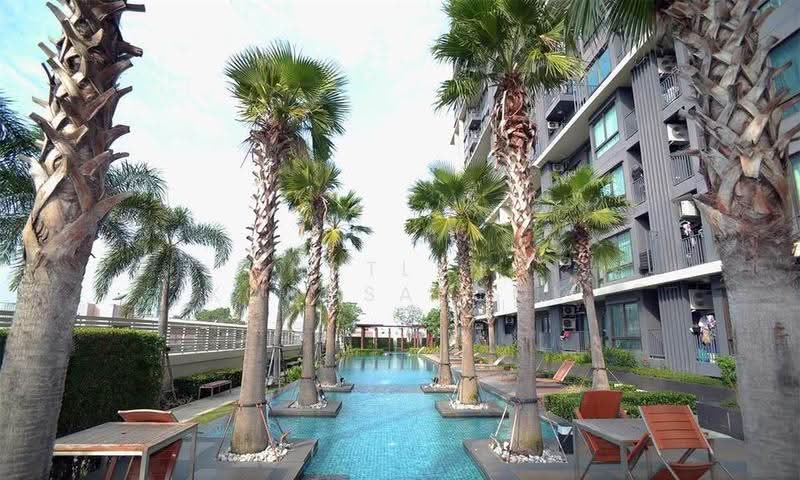 Casa Condo Asoke - Dindaeng, Bangkok, 5801 Din Daeng Road, Din Daeng, Bangkok, 1 Bedroom, 31 sqm, Condo For Rent, by Natlyn Kongsapook, 500521424 - DDproperty.com