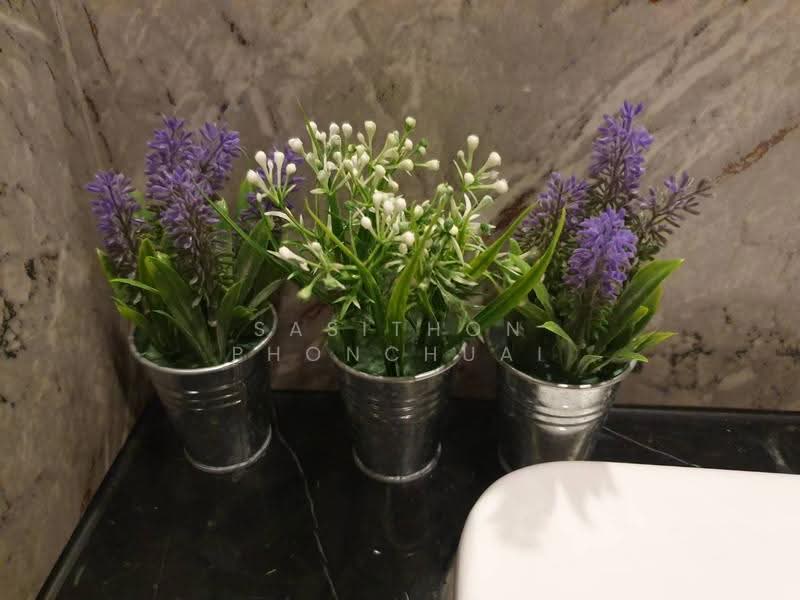 ASHTON Asoke, Bangkok, 131 Asoke Montri Road, Khlongtoei Nua, Watthana, Bangkok, 1 Bedroom, 30 sqm, Condo For Sale, by Sasithon Phonchuai, 500521506 - DDproperty.com
