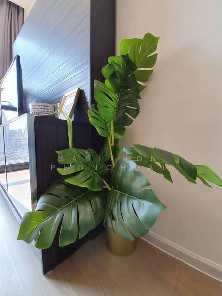 ASHTON Asoke, Bangkok, 131 Asoke Montri Road, Khlongtoei Nua, Watthana, Bangkok, 1 Bedroom, 30 sqm, Condo For Sale, by Sasithon Phonchuai, 500521506 - DDproperty.com