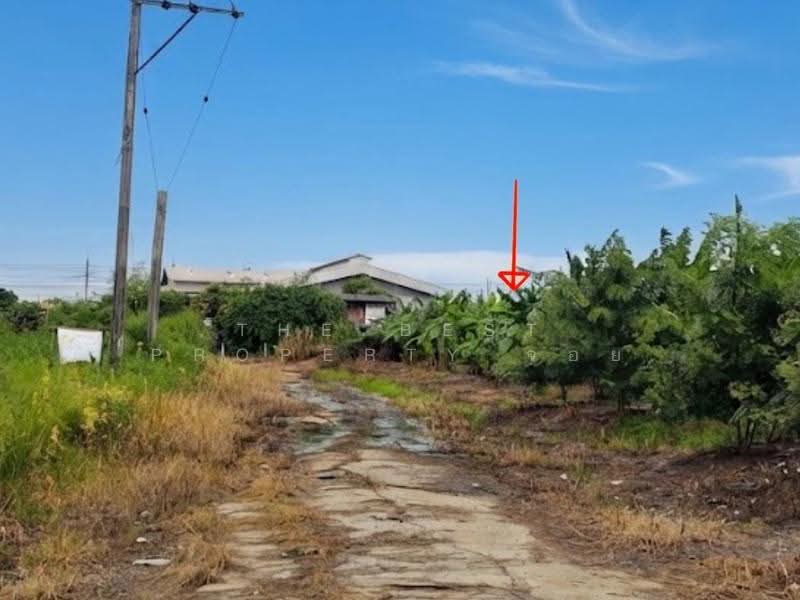 ที่ดินไทรน้อย นนทบุรี, นนทบุรี, ไทรน้อย, นนทบุรี, 1,492 ตร.ม., ที่ดิน ขาย, โดย The Best Property จอย, 500521516 - DDproperty.com