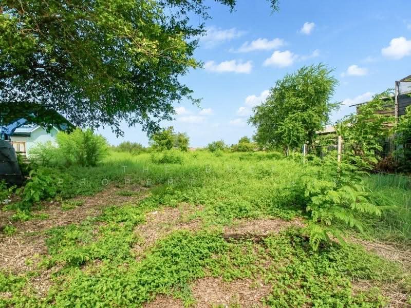 ที่ดินแพรกษาใหม่ สมุทรปราการ, Samut Prakan, Phreak Sa Mai, Muang Samut Prakarn, Samut Prakan, , 9,451 sqm, Land For Sale, by The Best Property   แอ๊ด, 500521614 - DDproperty.com