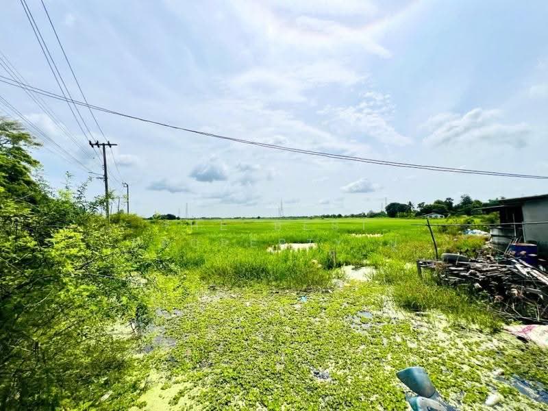 ที่ดินลาดกระบัง กรุงเทพมหานคร, Bangkok, Lam Pla Tiew, Lat Krabang, Bangkok, , 9,244 sqm, Land For Sale, by The Best Property ปู, 500521645 - DDproperty.com