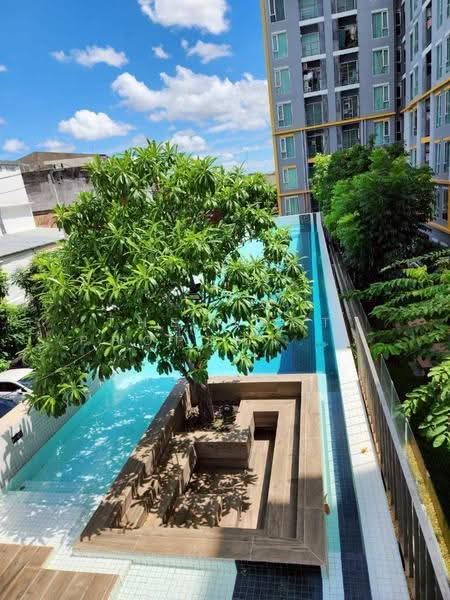 Plum Condo Ramkhamheng Station : พลัม คอนโด รามคำแหง สเตชั่น, กรุงเทพ, ถนนรามคำแหง, สวนหลวง, กรุงเทพ, 36 ตร.ม., คอนโด ขาย, โดย The Best Property ป้อม, 500521798 - DDproperty.com