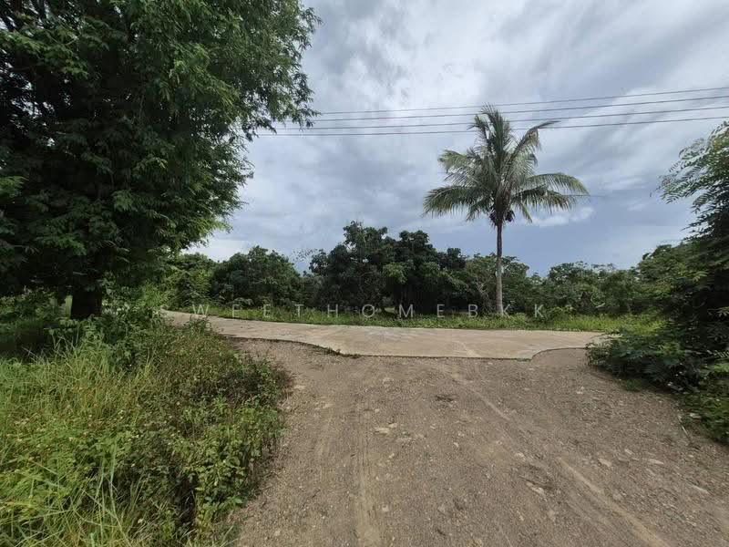 ที่ดินป่าซาง, Lamphun, 1156, Ban Ruan, Pa Sang, Lamphun, , 9,236 sqm, Land For Sale, by SweetHomeBKK, 500521950 - DDproperty.com
