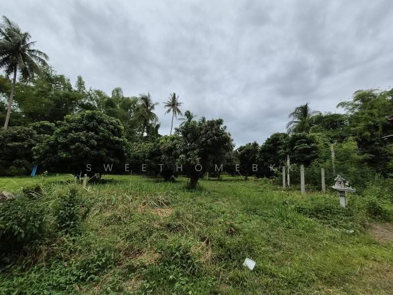 ที่ดินป่าซาง, ลำพูน, 1156, บ้านเรือน, ป่าซาง, ลำพูน, 9,236 ตร.ม., ที่ดิน ขาย, โดย SweetHomeBKK, 500521950 - DDproperty.com