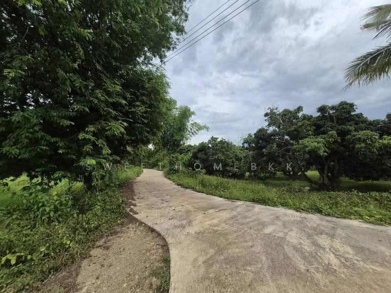 ที่ดินป่าซาง, Lamphun, 1156, Ban Ruan, Pa Sang, Lamphun, , 9,236 sqm, Land For Sale, by SweetHomeBKK, 500521950 - DDproperty.com