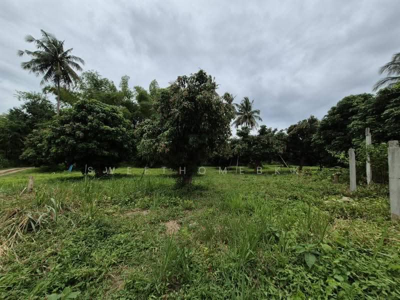 ที่ดินป่าซาง, Lamphun, 1156, Ban Ruan, Pa Sang, Lamphun, , 9,236 sqm, Land For Sale, by SweetHomeBKK, 500521950 - DDproperty.com