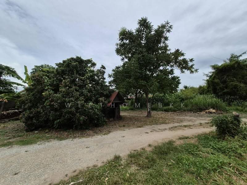 ที่ดินป่าซาง, Lamphun, 1156, Ban Ruan, Pa Sang, Lamphun, , 9,236 sqm, Land For Sale, by SweetHomeBKK, 500521950 - DDproperty.com