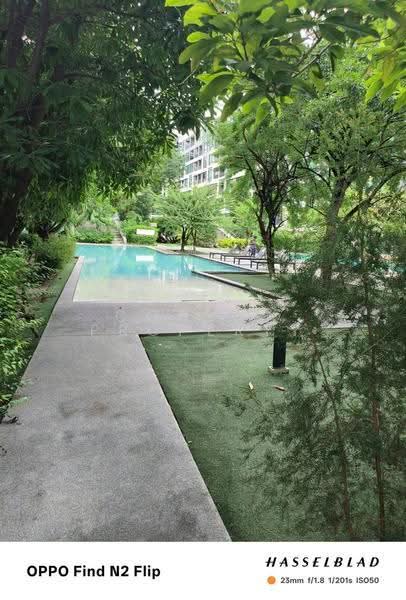 My Story Ladprao 71, Bangkok, 388 Nakniwat Road, Lat Phrao, Lat Phrao, Bangkok, 1 Bedroom, 33 sqm, Condo For Sale, by Connex Property, 500522045 - DDproperty.com