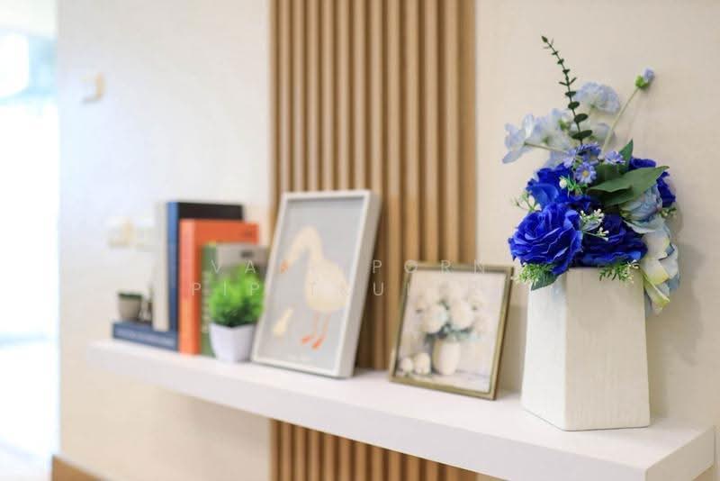 The Kith Sukhumvit 113, Samut Prakan, Sukhumvit Road 113, Samrong Nua, Muang Samut Prakarn, Samut Prakan, 1 Bedroom, 28 sqm, Condo For Sale, by Varinporn Pipitkulsri, 500522132 - DDproperty.com