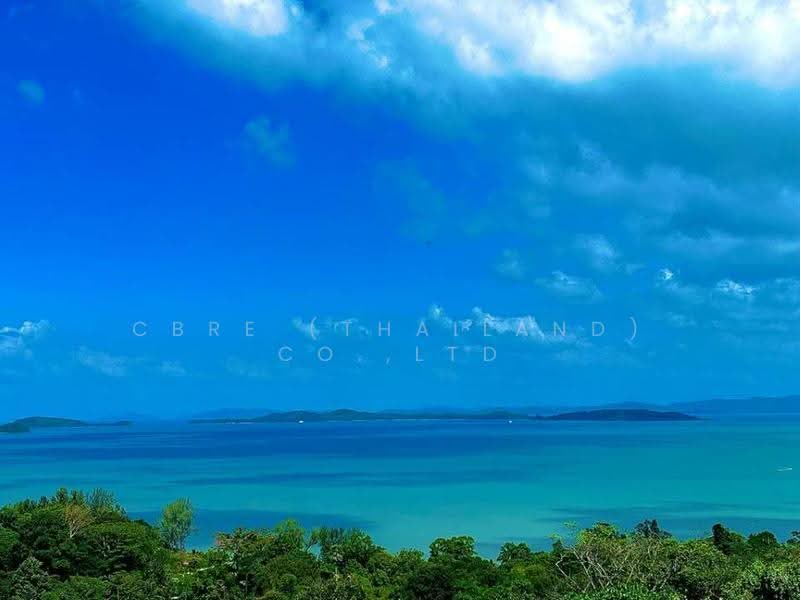 Cape Heights : เคป ไฮทส์, ภูเก็ต, ป่าคลอก, ถลาง, ภูเก็ต, 419 ตร.ม., วิลล่า ขาย, โดย CBRE (Thailand) Co.,Ltd, 500522134 - DDproperty.com