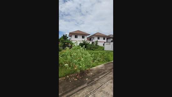 Land for Sale, Primo Banbung 100 sq, Chon Buri (Pattaya), Ban Bung, Ban Bung, Chon Buri (Pattaya), , 401 sqm, Land For Sale, by Khommaphat Phumbandit, 500522152 - DDproperty.com