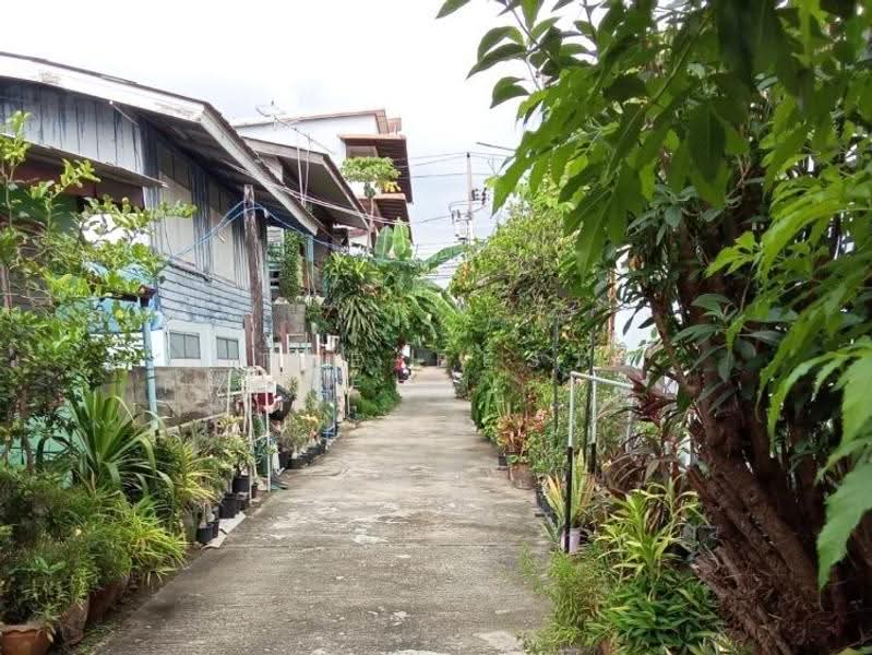 บ้านเดี่ยวธัญบุรี ปทุมธานี, ปทุมธานี, บึงยี่โถ, ธัญบุรี, ปทุมธานี, 100 ตร.ม., บ้านเดี่ยว ขาย, โดย The Best Property มนต์, 500522246 - DDproperty.com