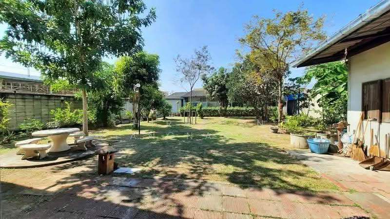 อาคาร 3ชั้น 3คูหา พร้อมที่ดินด้านหลัง ใจกลางเมือง (เยื้องห้างแฟรี่) ถ.หน้าเมือง, ขอนแก่น, หน้าเมือง, ในเมือง, เมืองขอนแก่น, ขอนแก่น, 758 ตร.ม., ตึกแถว-อาคารพาณิชย์ ขาย, โดย Chiraporn Wiangnachai, 500522262 - DDproperty.com