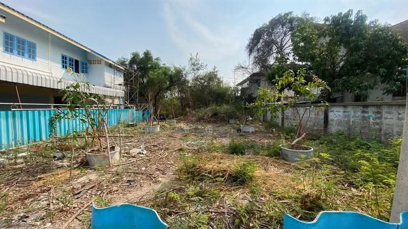 ที่ดินเปล่า 60 ตร.ว. ที่ดิน หมู่บ้านชัชฎาวิลล่า, Bangkok, ถนนบางแวก, Bang Phai, Bang Khae, Bangkok, , 240 sqm, Land For Sale, by คุณ ชญาดา มหาปิยานนท์ (ไนท์), 500522266 - DDproperty.com