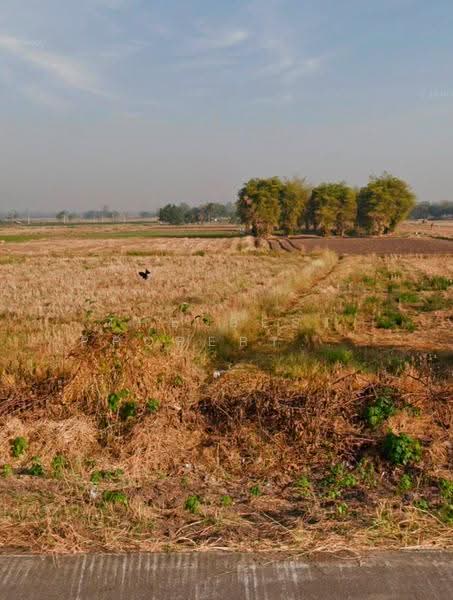 ที่ดินนางั่ว เพชรบูรณ์, Phetchabun, Na Nhgua, Muang Phetchabun, Phetchabun, , 19,508 sqm, Land For Sale, by The Best Property นัช, 500522307 - DDproperty.com