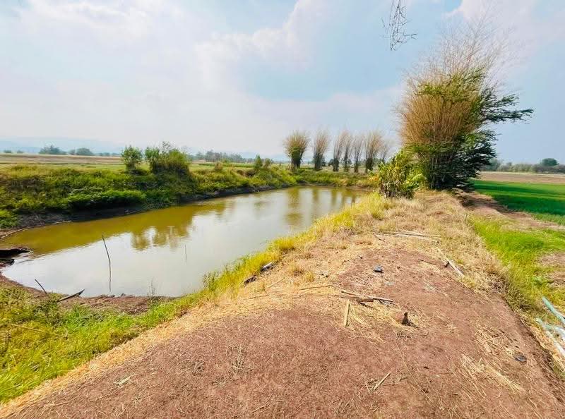 ที่ดินนางั่ว เพชรบูรณ์, Phetchabun, Na Nhgua, Muang Phetchabun, Phetchabun, , 19,508 sqm, Land For Sale, by The Best Property นัช, 500522307 - DDproperty.com