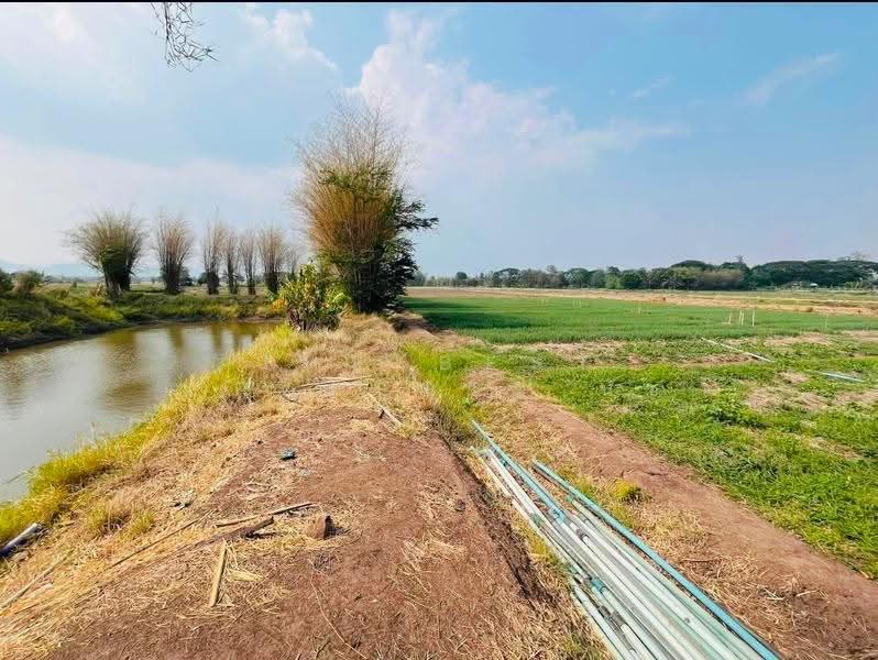 ที่ดินนางั่ว เพชรบูรณ์, Phetchabun, Na Nhgua, Muang Phetchabun, Phetchabun, , 19,508 sqm, Land For Sale, by The Best Property นัช, 500522307 - DDproperty.com