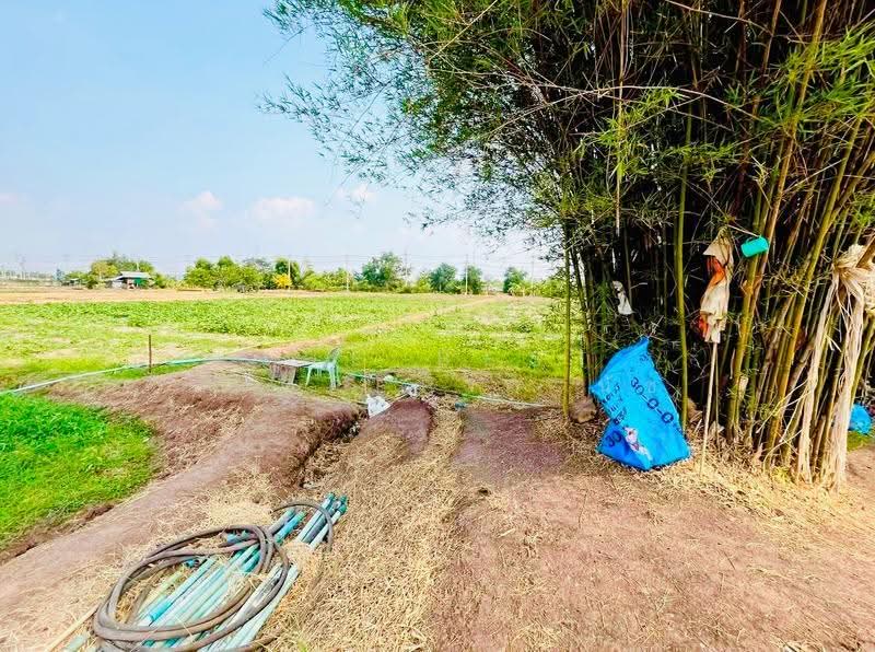 ที่ดินนางั่ว เพชรบูรณ์, Phetchabun, Na Nhgua, Muang Phetchabun, Phetchabun, , 19,508 sqm, Land For Sale, by The Best Property นัช, 500522307 - DDproperty.com