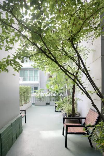 DLV Thonglor 20 : ดี แอล วี ทองหล่อ 20, กรุงเทพ, 18 ซอยทองหล่อ 20 ถนนทองหล่อ, คลองตันเหนือ, วัฒนา, กรุงเทพ, 66 ตร.ม., คอนโด ให้เช่า, โดย Anya Atarchanai, 500522344 - DDproperty.com