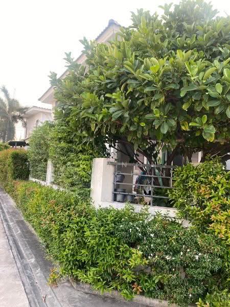 Life City Home Sukhumvit-Ang Sila, Chon Buri (Pattaya), Soi Rongngan battery, Ang Sila, Muang Chon Buri, Chon Buri (Pattaya), 3 Bedrooms, 176 sqm, Single Detached House For Sale, by Siwanon Gosachan, 500522364 - DDproperty.com