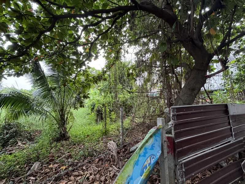 ซอยรามอินทรา 30 ใกล้รถไฟฟ้าสถานีมัยลาภ บรรยากาศเงียบสงบ, กรุงเทพ, ท่าแร้ง, บางเขน, กรุงเทพ, 876 ตร.ม., ที่ดิน ขาย, โดย ERA Holding (Thailand) Co., Ltd., 500522388 - DDproperty.com